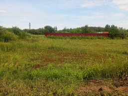 п. Большие Дворы, г.о. Павловский Посад