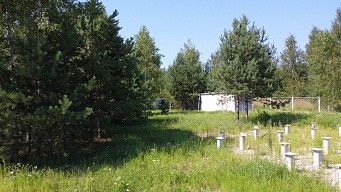 д. Саурово, г.о. Павловский Посад