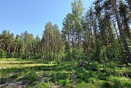 Посёлок ЛПХ Ольгинова г. Павловский Посад