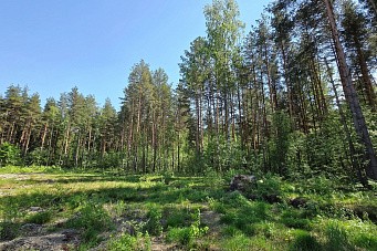 Посёлок ЛПХ Ольгинова г. Павловский Посад