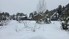 ул. Майская, уч. 25, д. Дмитриво, с. Рахманово, г.о. Павловский Посад