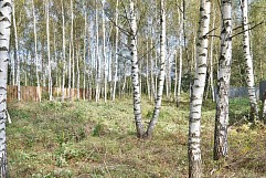 КП Дубрава, г. Павловский Посад