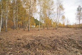 КП. Мишутинская слобода, г. Павловский Посад,