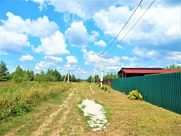 д. Козлово, г.о. Павловский Посад