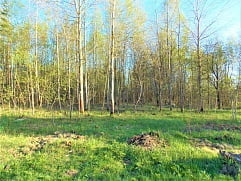 ул. Новая уч. 6в, д. Козлово, г.о. Павловский Посад