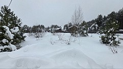 ул. Майская, уч. 25, д. Дмитриво, с. Рахманово, г.о. Павловский Посад