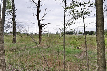 КП Любашино, г.о. Павловский Посад