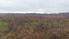 пос. Большое Трубицыно, г. Павловский Посад