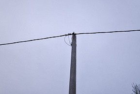 КП Любашино, г.о. Павловский Посад