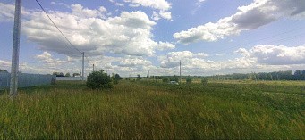 д. Курово, г.о. Павловский Посад