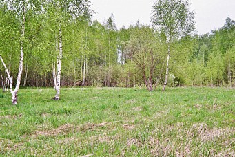 КП Любашино, г.о. Павловский Посад