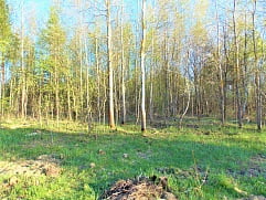 ул. Новая уч. 6в, д. Козлово, г.о. Павловский Посад
