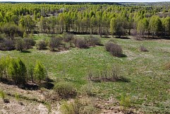 д. Пестово, г.о. Павловский Посад