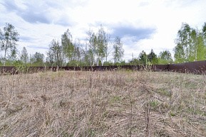 д. Дмитрово, г.о. Павловский Посад