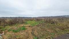 пос. Большое Трубицыно, г. Павловский Посад