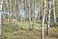 КП Дубрава, г. Павловский Посад