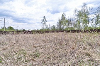 д. Дмитрово, г.о. Павловский Посад