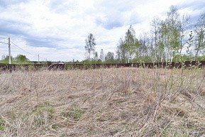 д. Дмитрово, г.о. Павловский Посад