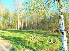 ул. Новая уч. 6в, д. Козлово, г.о. Павловский Посад