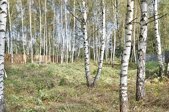 КП Дубрава, г. Павловский Посад