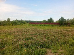 п. Большие Дворы, г.о. Павловский Посад