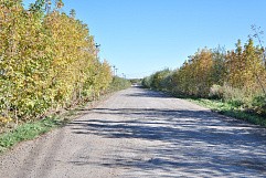 КП Зеленый Берег Лайф-2, г.о. Павловский Посад