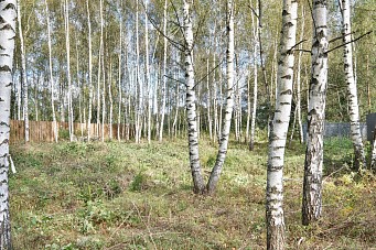 КП Дубрава, г. Павловский Посад