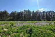 Посёлок ЛПХ Ольгинова г. Павловский Посад