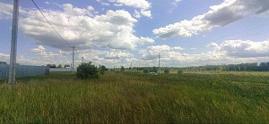 д. Курово, г.о. Павловский Посад