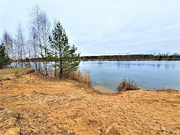 д. Курово, г.о. Павловский Посад