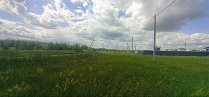 д. Курово, г.о. Павловский Посад