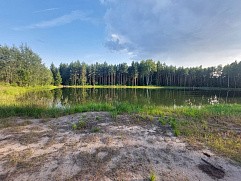 д. Михалево