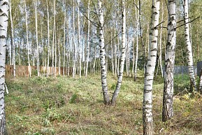 КП Дубрава, г. Павловский Посад