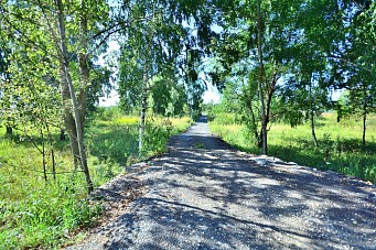 СНТ Олимпийские луга, д. Курово, г.о. Павловский Посад